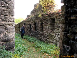 Ehrenburg 02-11-08 3442-l.jpg (109493 Byte)