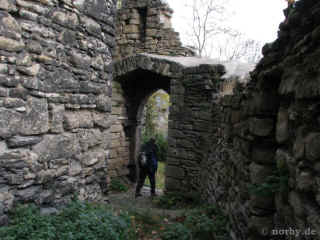 Ehrenburg 02-11-08 3444-l.jpg (88989 Byte)