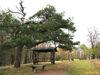 Hochwaldgrotte 08-11-08 3579-l.jpg (100519 Byte)