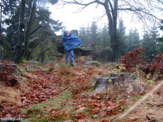 Steinturm  09-11-08 3619-l.jpg (121631 Byte)