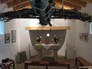 Wer hat diesen Fisch gefangen 01-11-08 3330-l.jpg (56070 Byte)