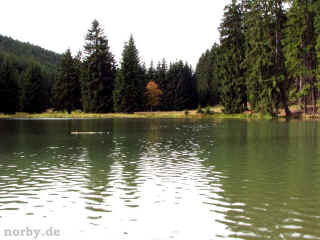 Hedwig auf Abwegen 05-10-08 3050-l.jpg (77631 Byte)