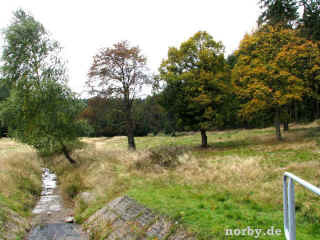 Hedwig auf Abwegen 05-10-08 3053-l.jpg (109042 Byte)