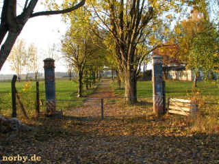 gabelbaum 12-10-08 3162-l.jpg (133354 Byte)