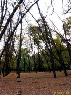 herrnhuter bruedergemeine 12-10-08 3176-l.jpg (115939 Byte)