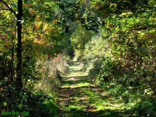 via regia 12-10-08 3087.jpg (105537 Byte)