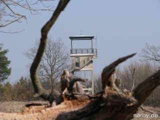 OBSERVATION POINT INDIA 03-04-09 5885-l.jpg (65191 Byte)