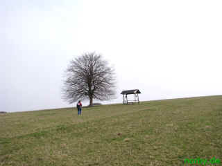 prima verweilen 05-04-09 6098-l.jpg (69512 Byte)