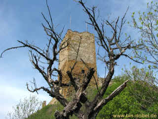 Burg Gleichen 25-04-09 7251-l.jpg (142809 Byte)