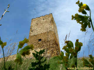 Burg Gleichen 25-04-09 7262-l.jpg (108500 Byte)