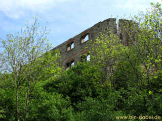 Burg Gleichen 25-04-09 7269-l.jpg (168781 Byte)