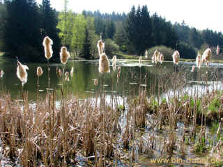 Opa Rudis Nachtcache 13-04-09 6315-l.jpg (165103 Byte)