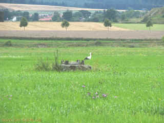 Cacherfreuden 02-08-09 9090.jpg (98352 Byte)