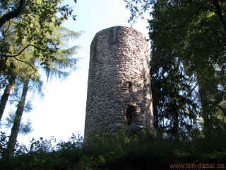 Finde den Kaefer 20-08-09 9700.jpg (97786 Byte)