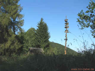 Finde den Kaefer 20-08-09 9724.jpg (98597 Byte)