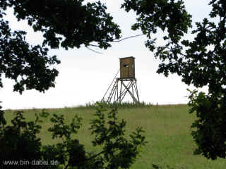 Hundskopfaue 02-08-09 9034.jpg (97408 Byte)