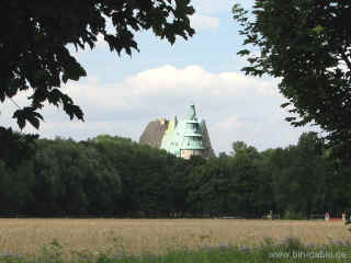 Muehlburgblick 01-08-09 8985.jpg (98530 Byte)