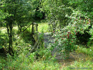 Ohne-Schuhe-Weg 09-08-09 9206.jpg (110163 Byte)