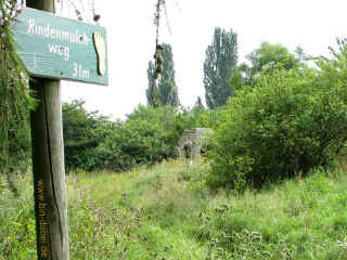 Ohne-Schuhe-Weg 09-08-09 9218.jpg (99755 Byte)