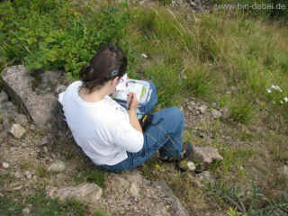 Reif fuer die Insel 30-08-09 0133.jpg (98056 Byte)