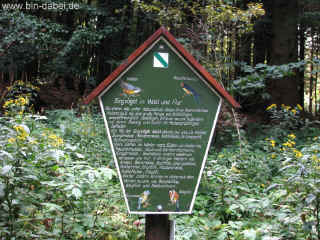 Rohquelle 14-08-09 9405.jpg (390821 Byte)