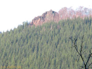 Zimmerberg 07-12-09 1492.jpg (231561 Byte)