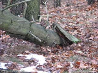 Alta Strata 18-01-09 2476-l.jpg (102208 Byte)