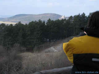 Baumbart 25-01-09 3404-l.jpg (46594 Byte)