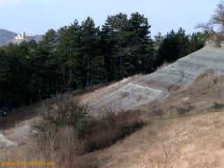 Baumbart 25-01-09 3414-l.jpg (83453 Byte)