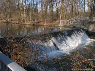 Muehlen an der Apfelstaedt -6- 25-01-09 3309-l.jpg (110799 Byte)