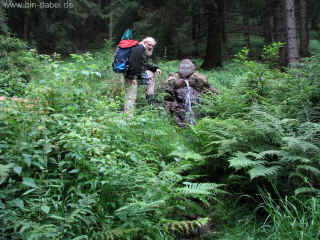 Wedelbachteich 18-07-09 8599.jpg (98278 Byte)