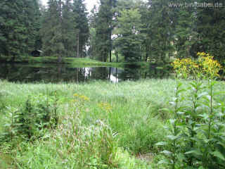 Wedelbachteich 18-07-09 8609.jpg (96345 Byte)