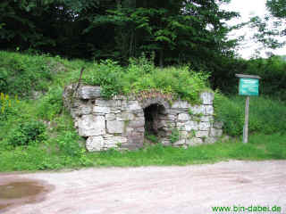 Gipsbruch Kittelsthal 20-06-09 130.jpg (258692 Byte)