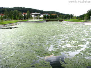 Kurschatten I 20-06-09 014.jpg (110326 Byte)