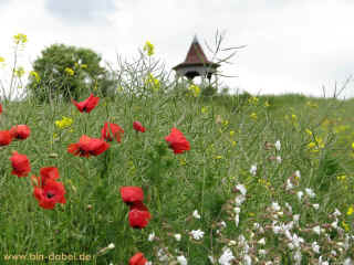 Russenbunker 07-06-09 8915.jpg (98617 Byte)