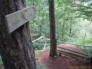 Smiley Revier 28-06-2009 7819.jpg (95137 Byte)