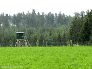 Smiley Revier 28-06-2009 7852.jpg (98702 Byte)