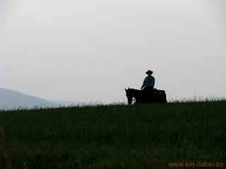 Smiley Revier 28-06-2009 7874.jpg (91490 Byte)