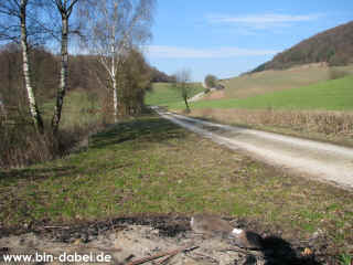 Inselteich 21-03-09 6198-l.jpg (139240 Byte)