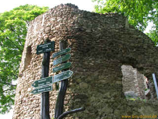 Burgruine Bad Liebenstein 01-05-09 8554-l.jpg (191405 Byte)