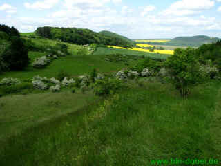 Geopark Drei Gleichen Teil 3 - Alabasterbruch 16-05-09 6858-l.jpg (78202 Byte)