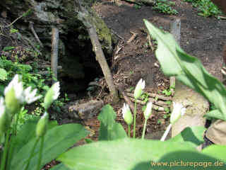 Geopark Drei Gleichen Teil 4 - Quelle Eymersborn 03-05-09 8692-l.jpg (110685 Byte)