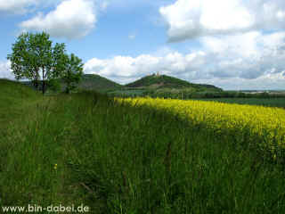 Geopark Drei Gleichen Teil 6 - Eckhardtshoeg 16-05-09 6753-l.jpg (116996 Byte)
