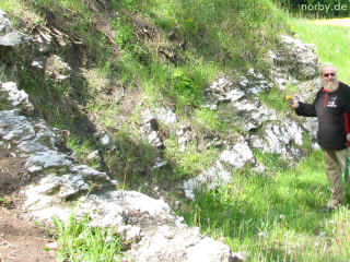 Geopark Drei Gleichen Teil 6 - Eckhardtshoeg 16-05-09 6781-l.jpg (182684 Byte)