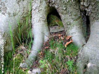 Schauenburg 10-05-09 9120-l.jpg (153778 Byte)