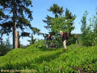 Simmetsbergstein 10-05-09 9042-l.jpg (148451 Byte)