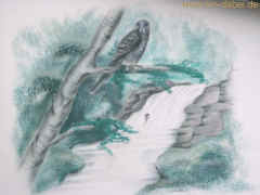 Naturdenkmal Geologische Wand Elmenthal 25-11-09 1330.jpg (98436 Byte)