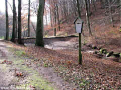 Oberer Teich 21-11-09 1178.jpg (98353 Byte)