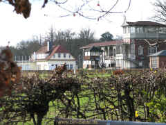 Pferdegrab Boxberg 19-11-09 0899.jpg (99888 Byte)