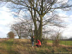 Wernshausen 25-11-09 1238.jpg (99113 Byte)